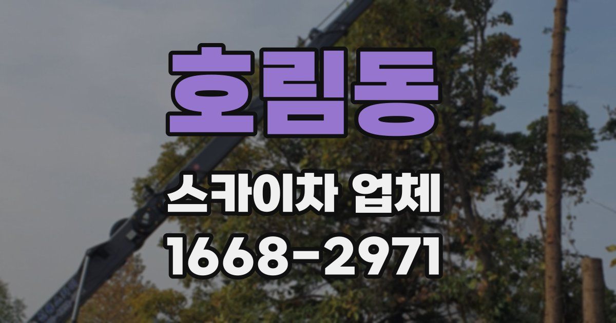 호림동 스카이차 업체