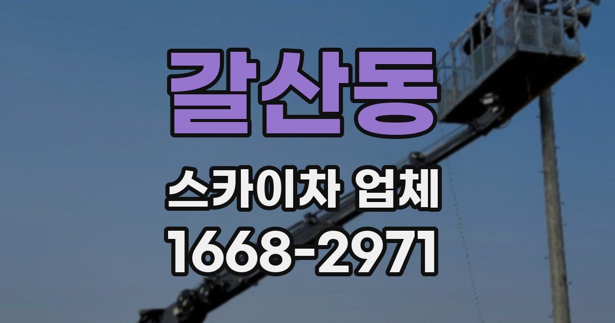 갈산동 스카이차 업체