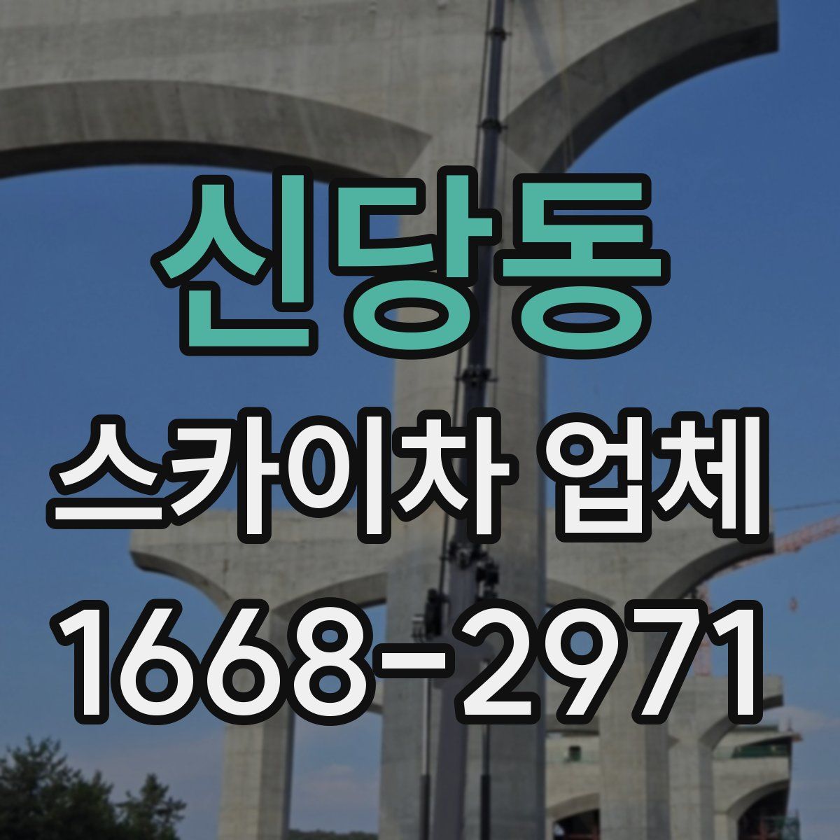 신당동 스카이차 업체