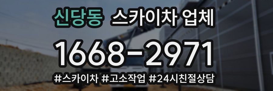 신당동 스카이차 업체
