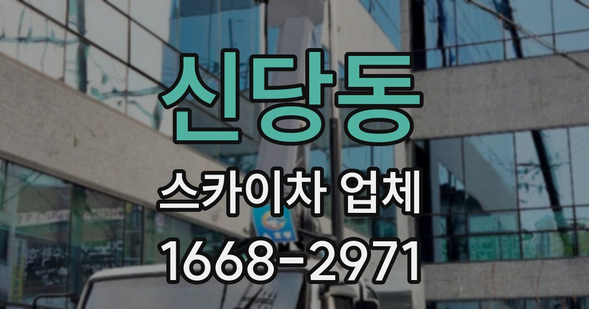 신당동 스카이차 업체