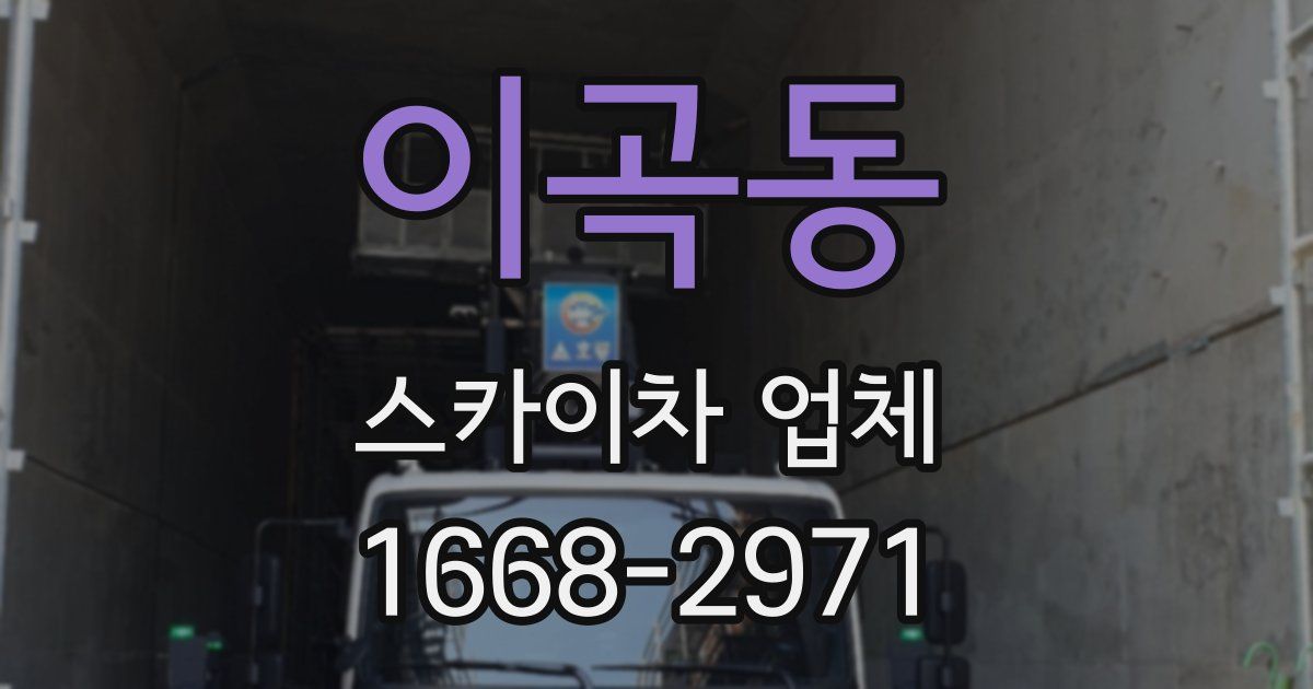 이곡동 스카이차 업체