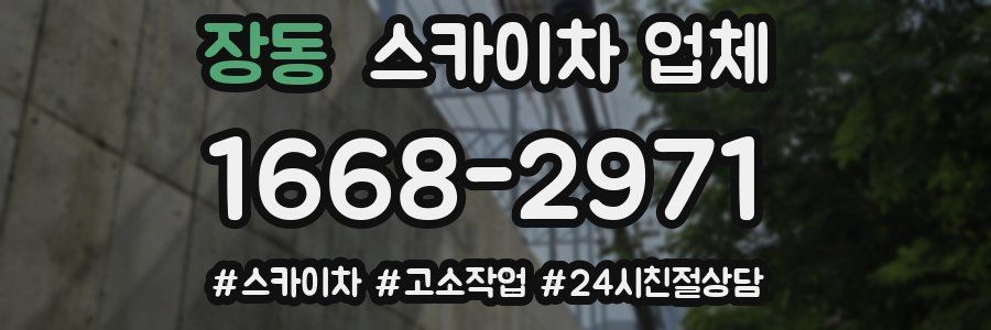 장동 스카이차 업체