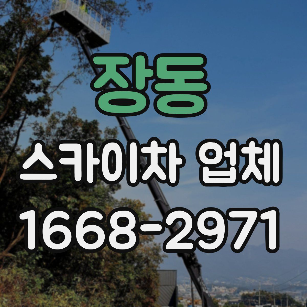 장동 스카이차 업체