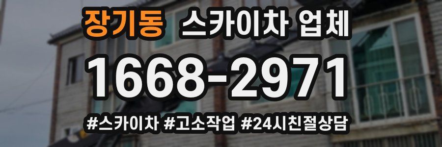 장기동 스카이차 업체