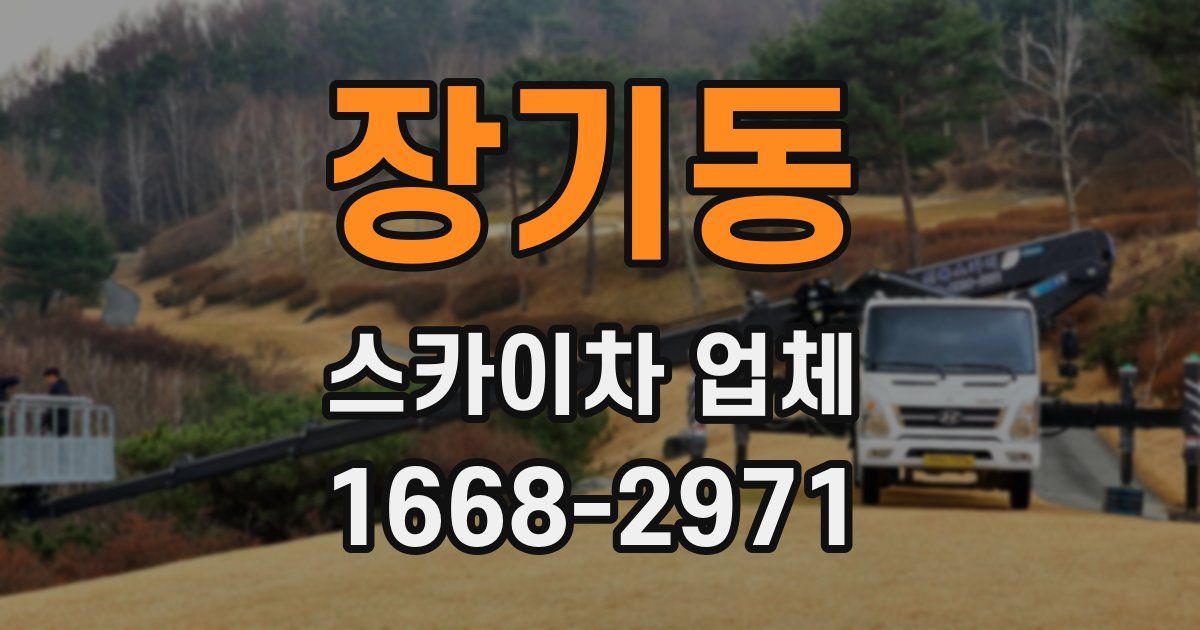 장기동 스카이차 업체