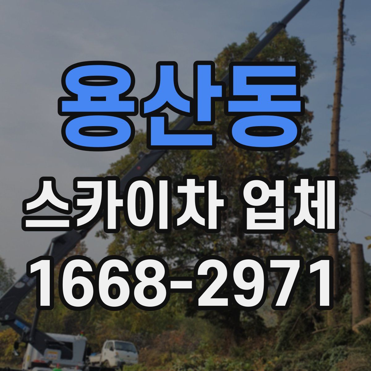 용산동 스카이차 업체
