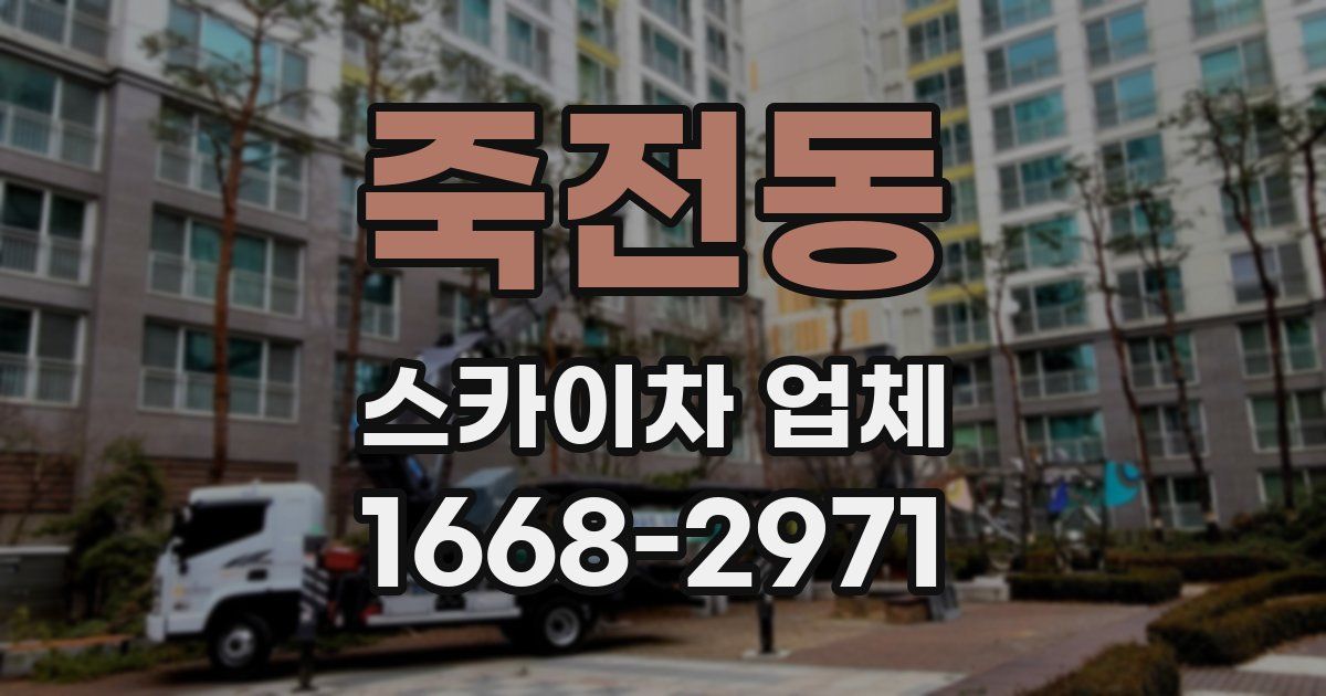 죽전동 스카이차 업체