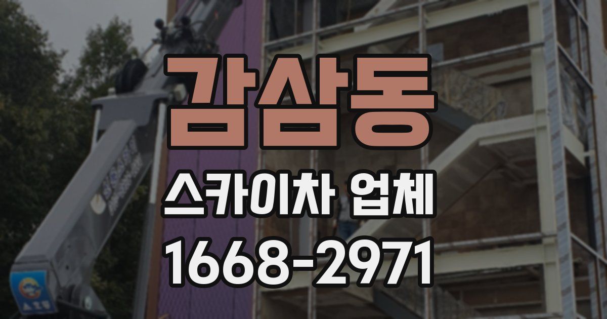 감삼동 스카이차 업체