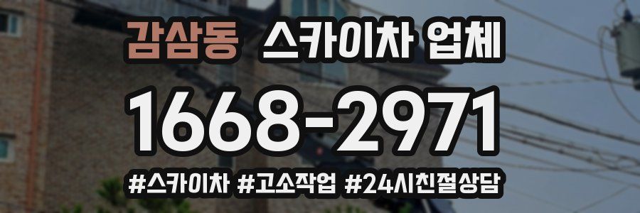 감삼동 스카이차 업체