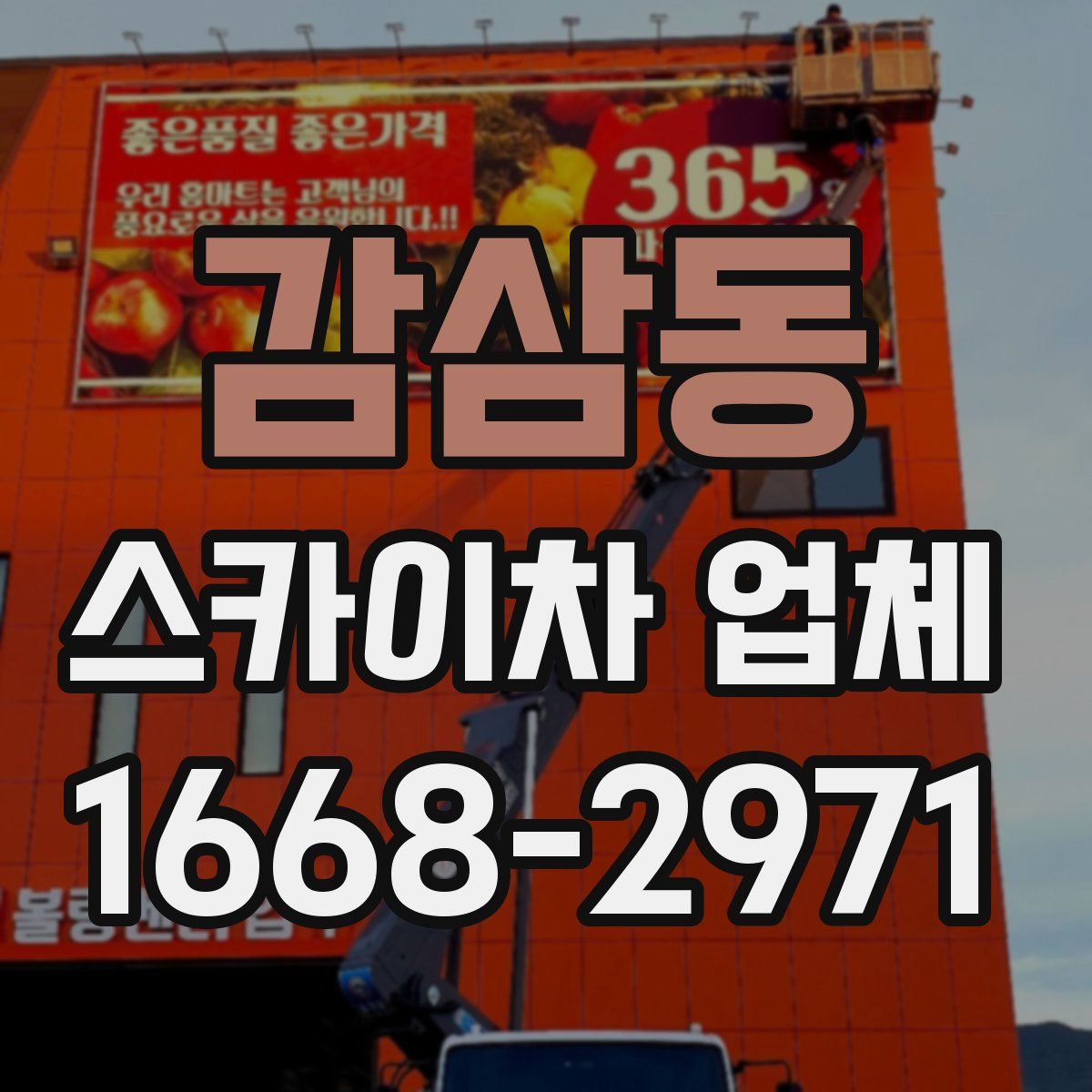 감삼동 스카이차 업체
