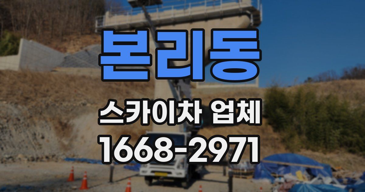 본리동 스카이차 업체