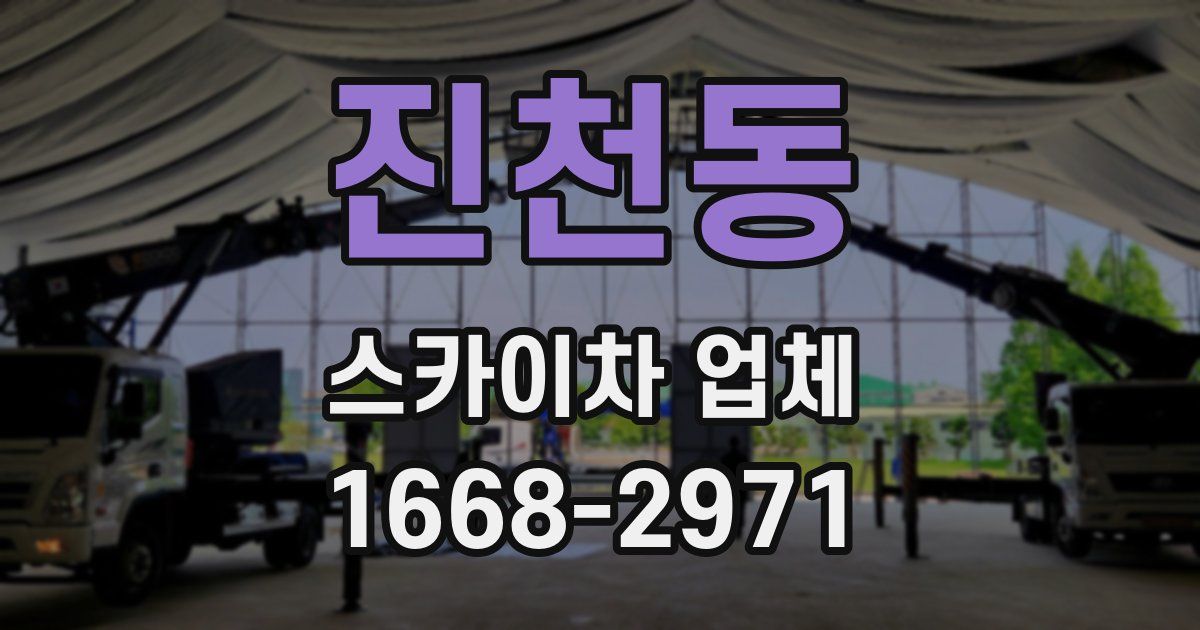 진천동 스카이차 업체