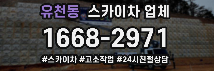 유천동 스카이차 업체