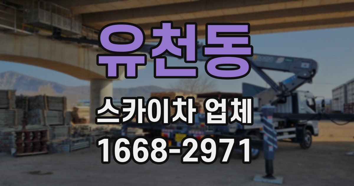 유천동 스카이차 업체