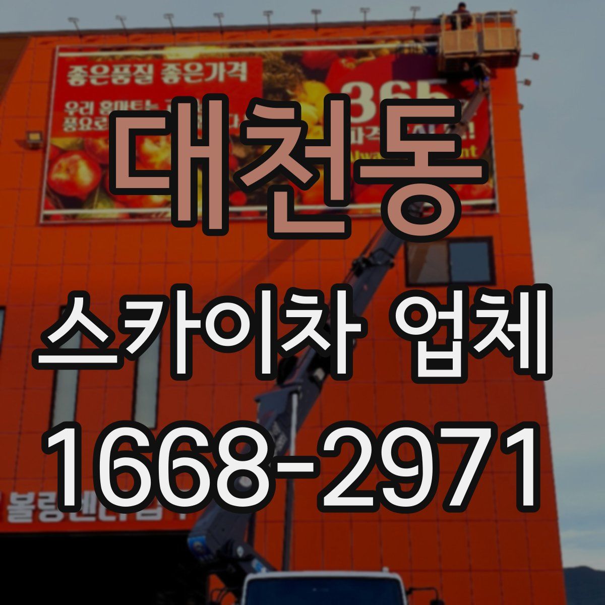 대천동 스카이차 업체