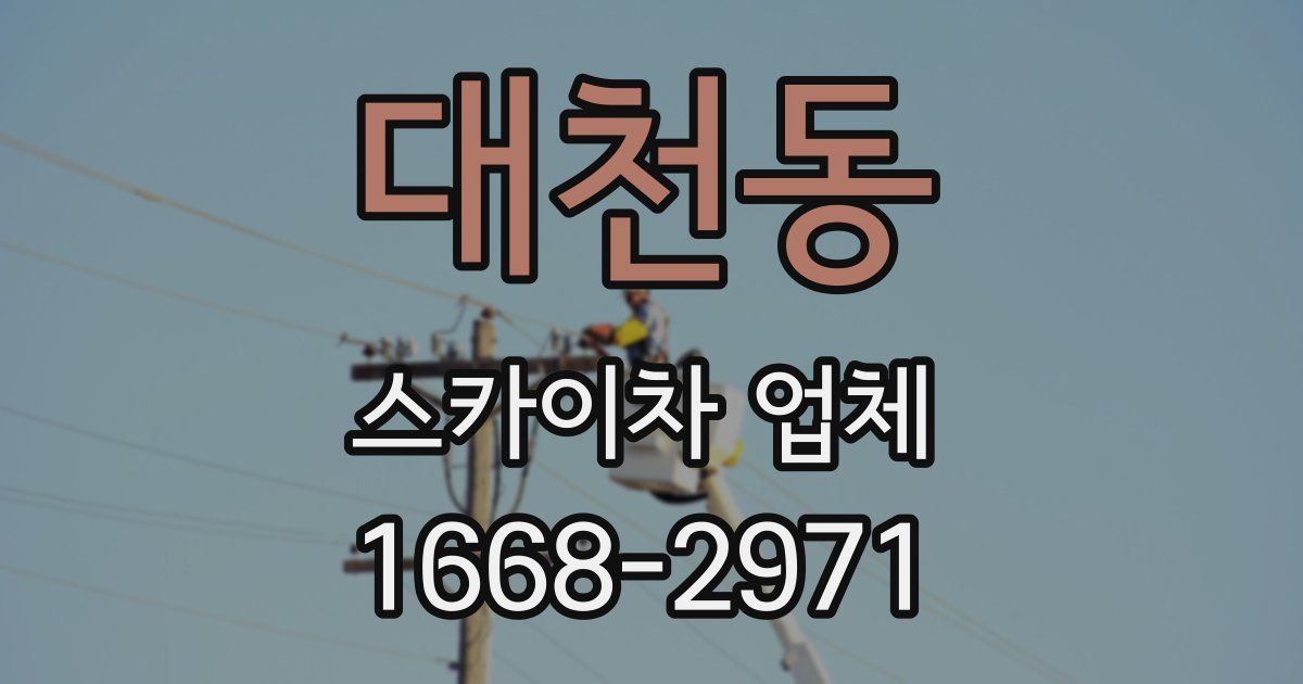 대천동 스카이차 업체