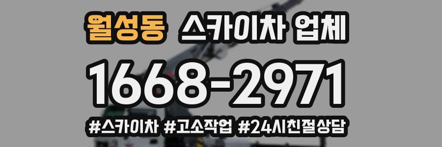 월성동 스카이차 업체