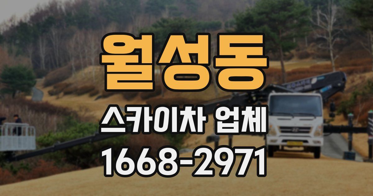 월성동 스카이차 업체