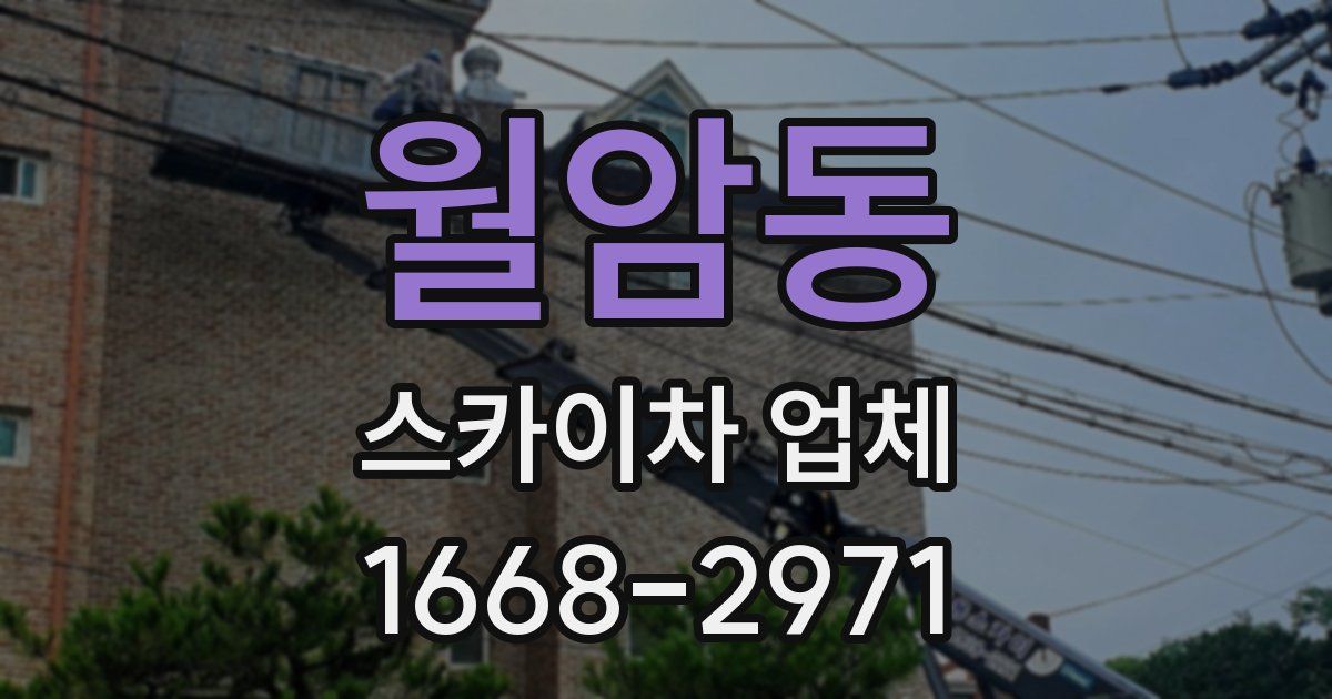 월암동 스카이차 업체