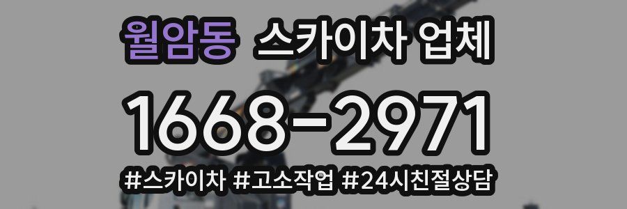 월암동 스카이차 업체