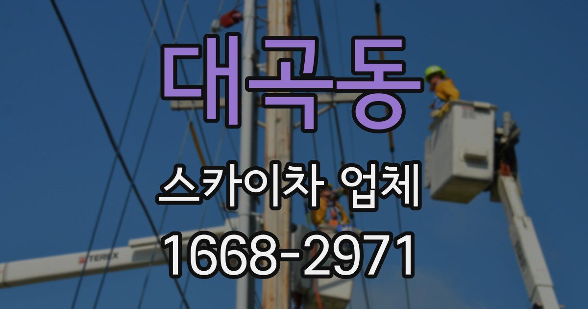 대곡동 스카이차 업체