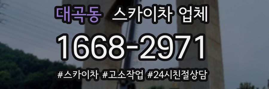 대곡동 스카이차 업체