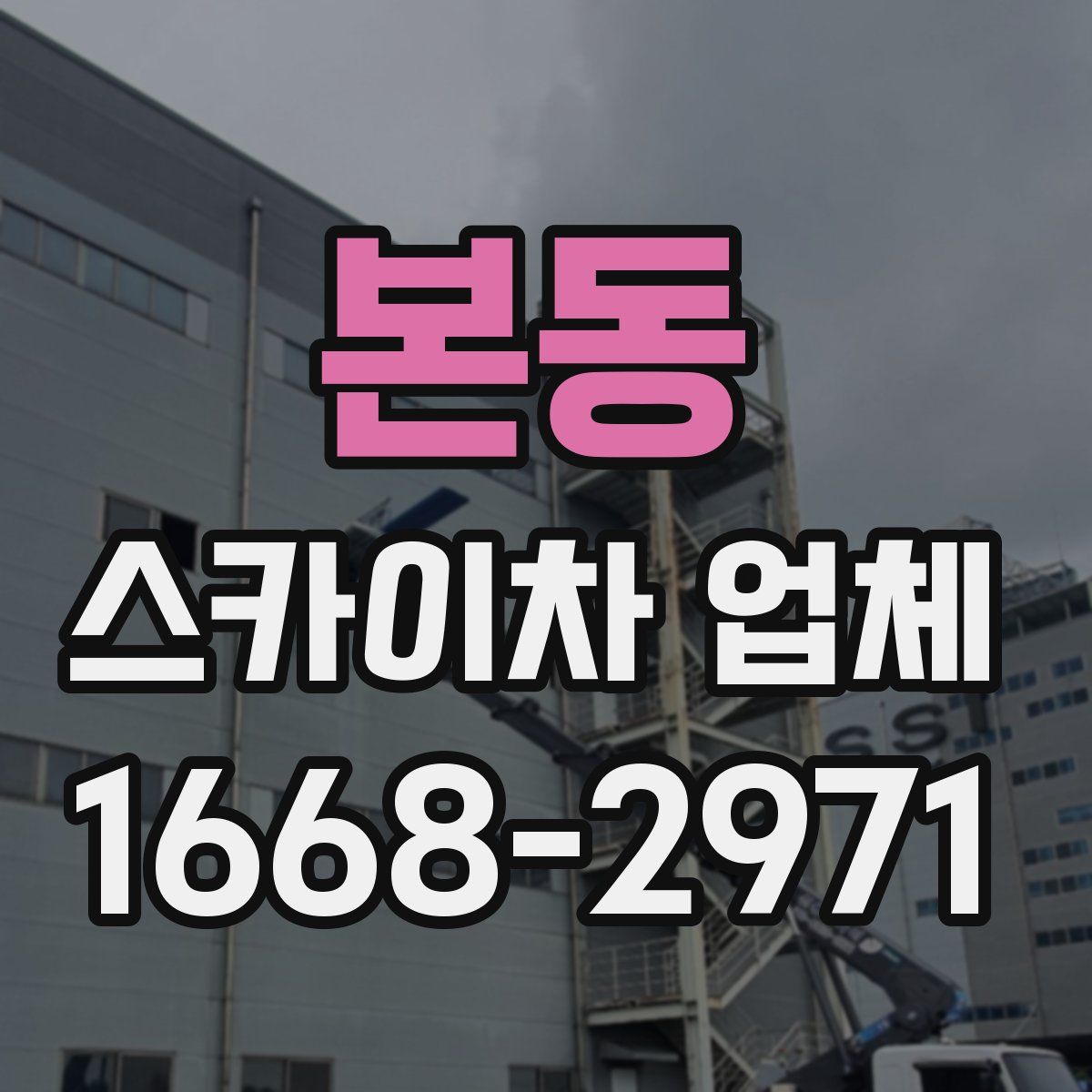 본동 스카이차 업체