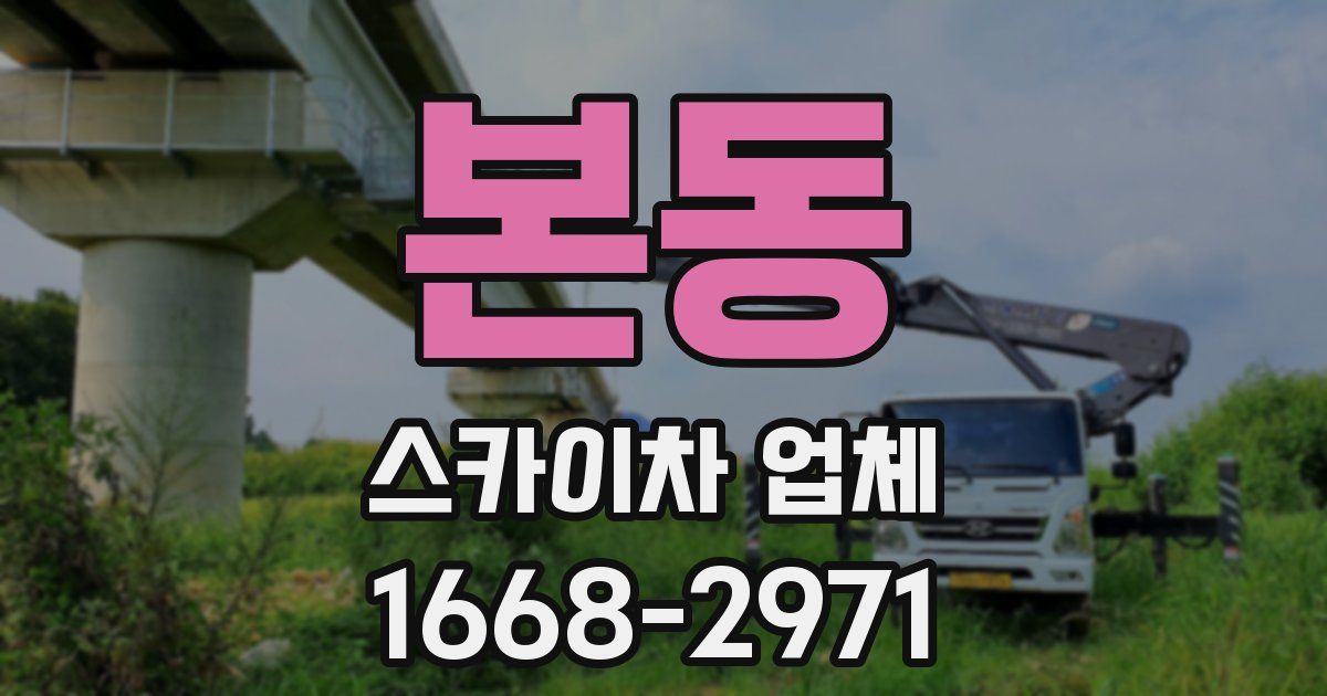 본동 스카이차 업체