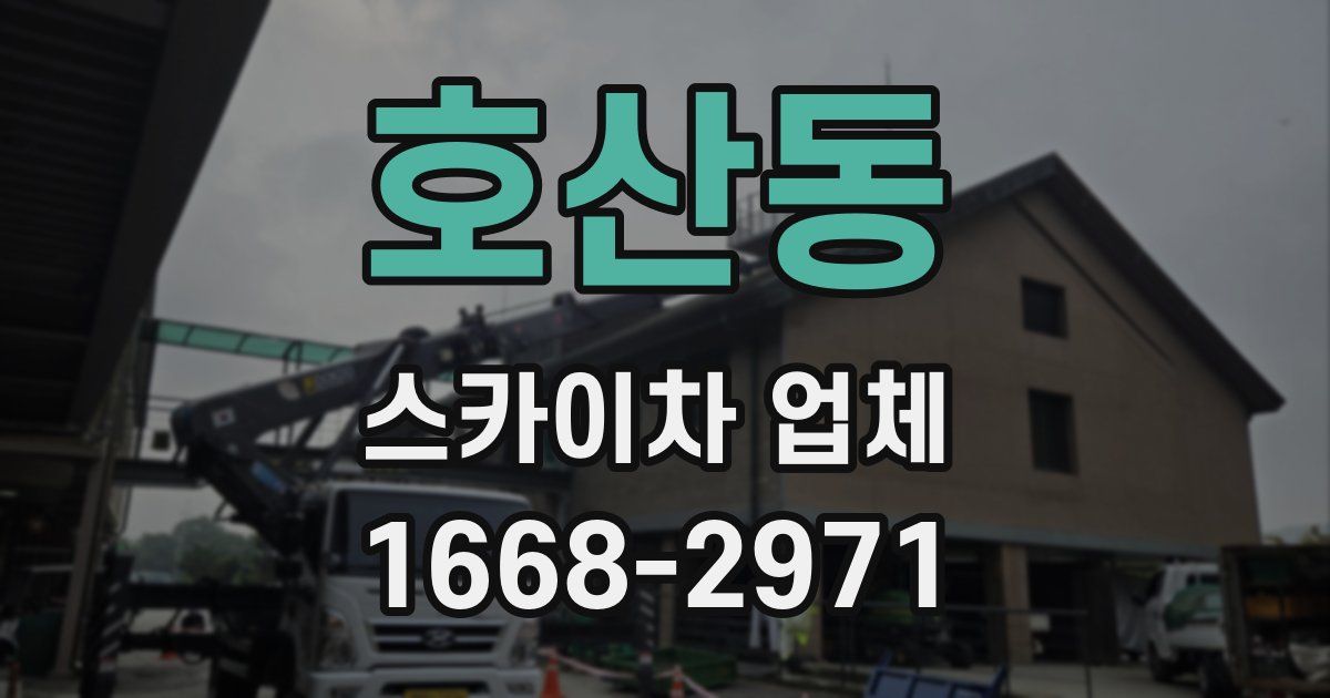 호산동 스카이차 업체
