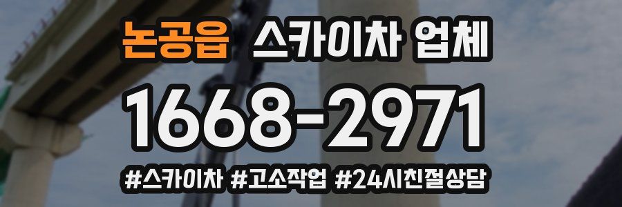 논공읍 스카이차 업체