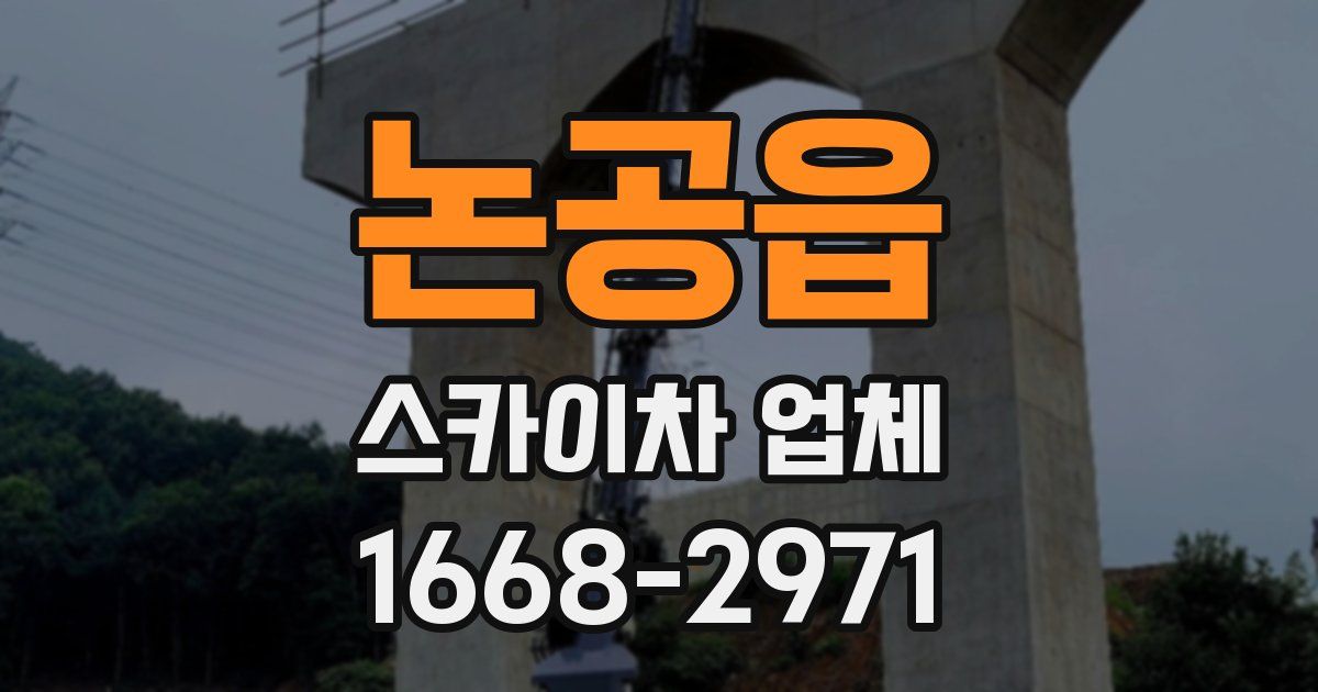 논공읍 스카이차 업체