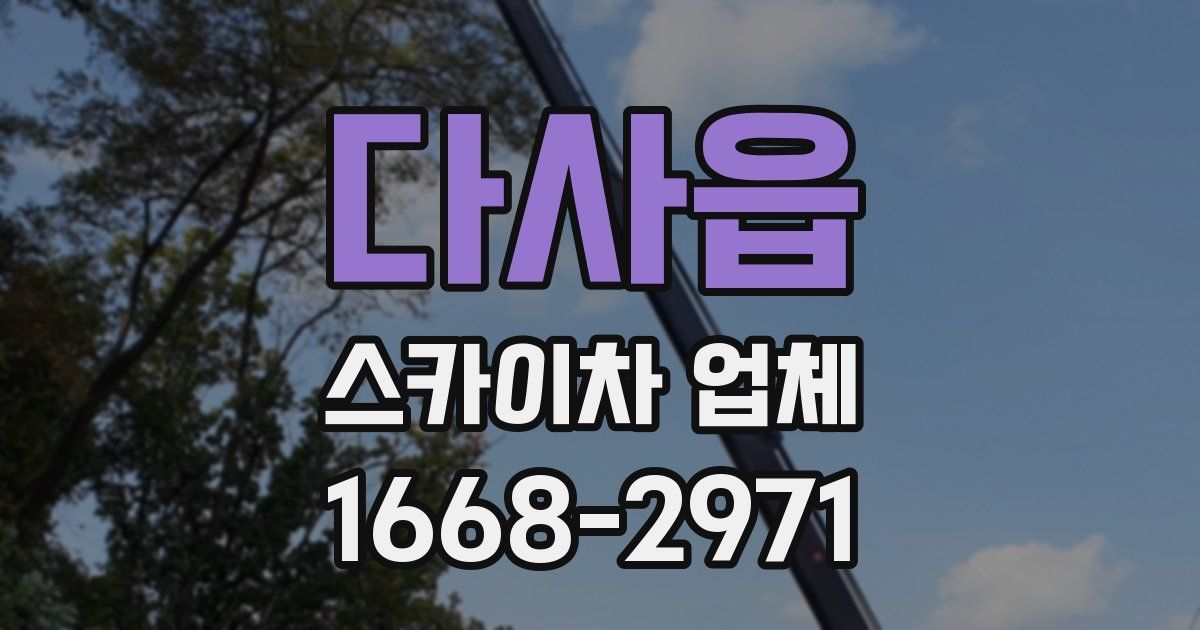 다사읍 스카이차 업체