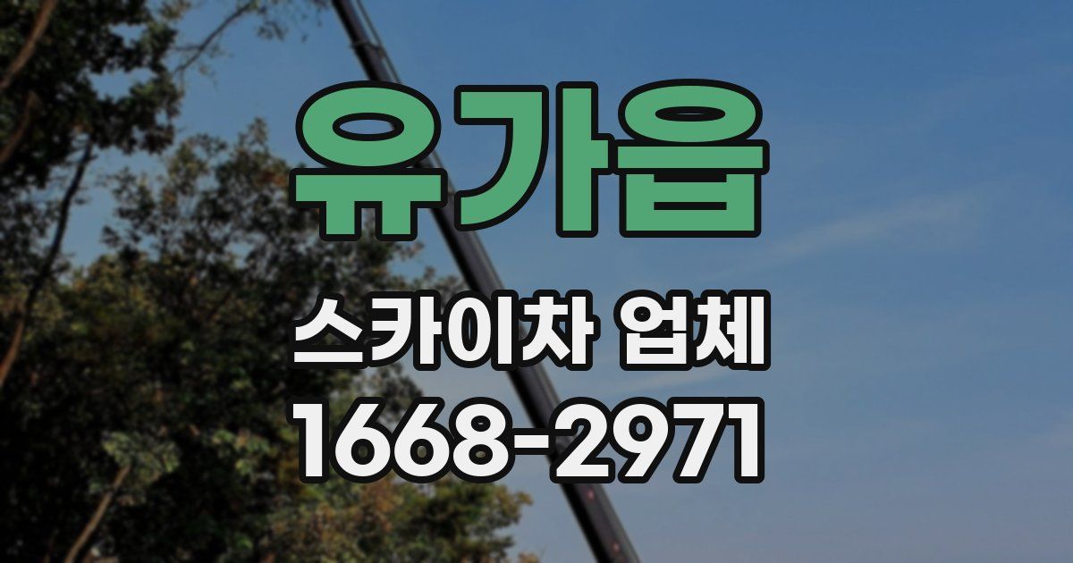 유가읍 스카이차 업체