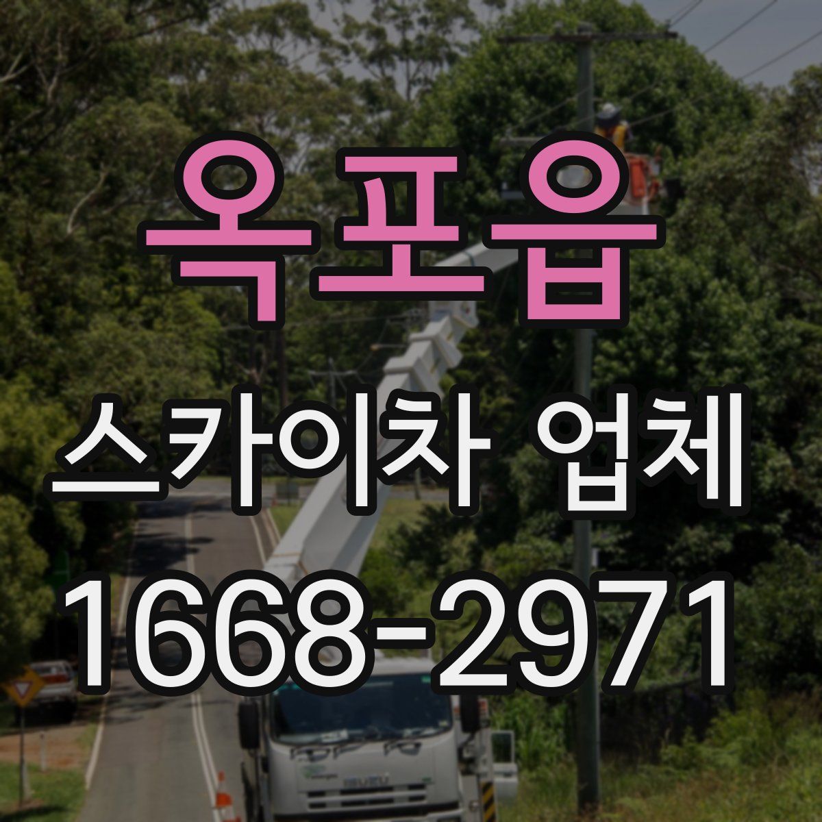 옥포읍 스카이차 업체