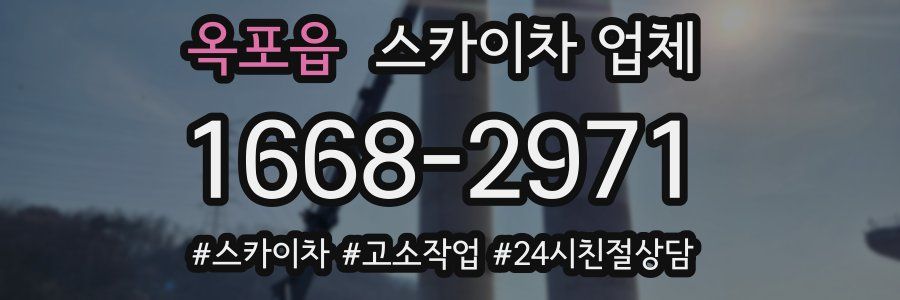 옥포읍 스카이차 업체