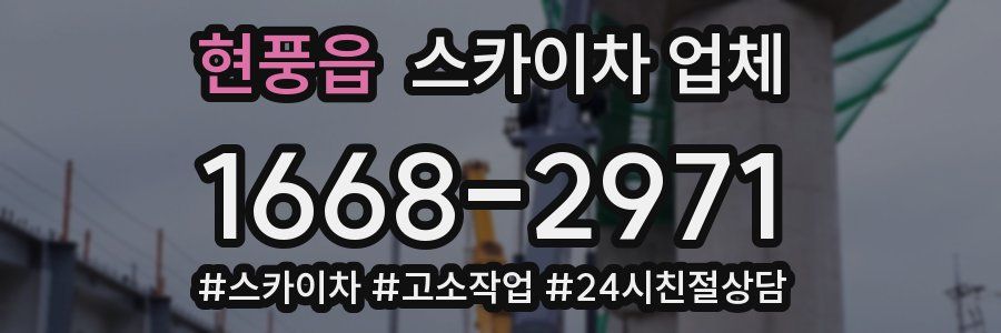 현풍읍 스카이차 업체