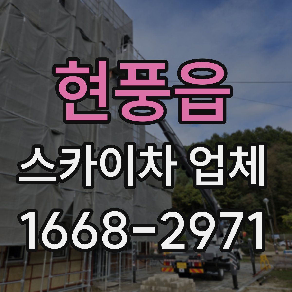현풍읍 스카이차 업체