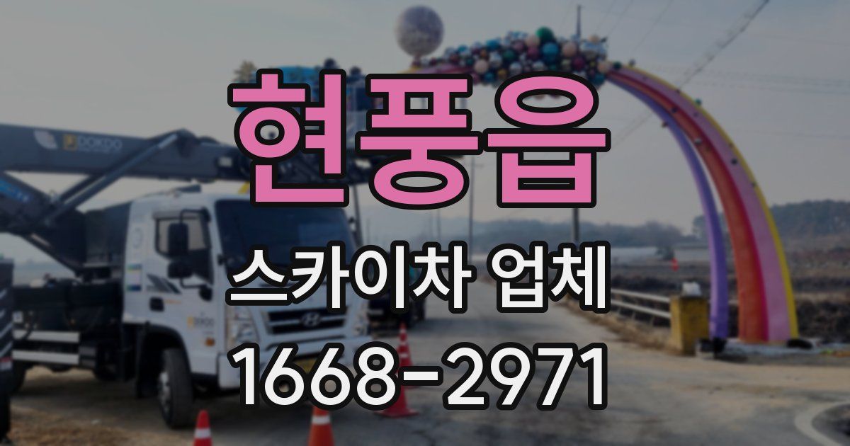 현풍읍 스카이차 업체