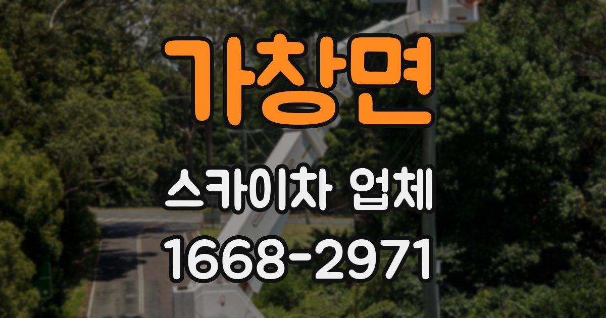 가창면 스카이차 업체