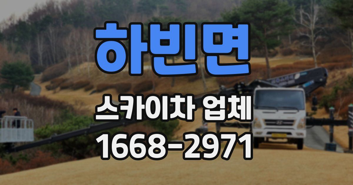하빈면 스카이차 업체