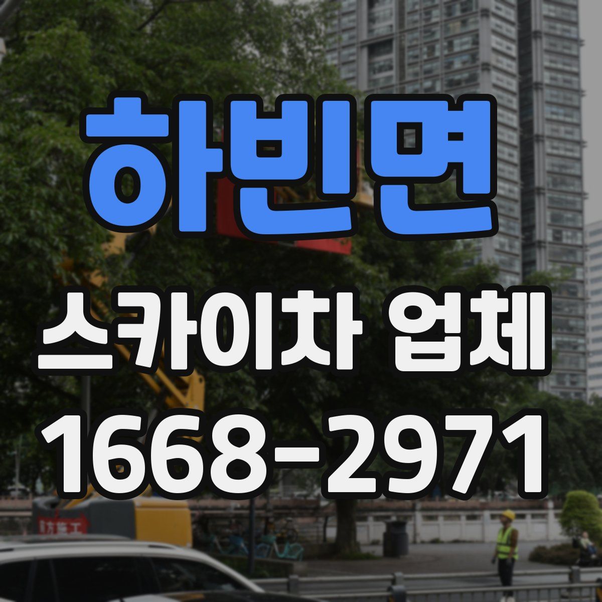 하빈면 스카이차 업체