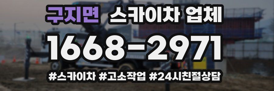 구지면 스카이차 업체