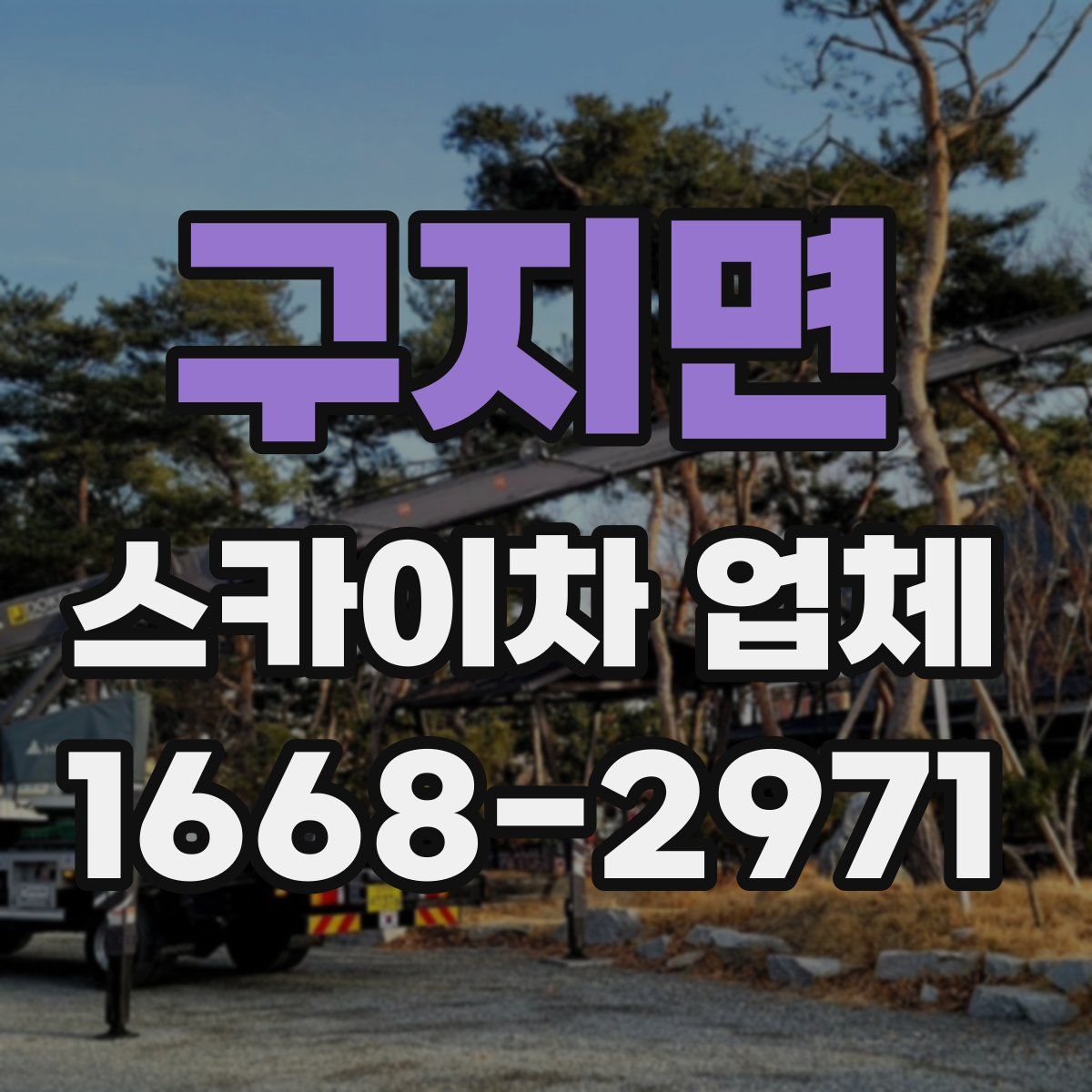 구지면 스카이차 업체