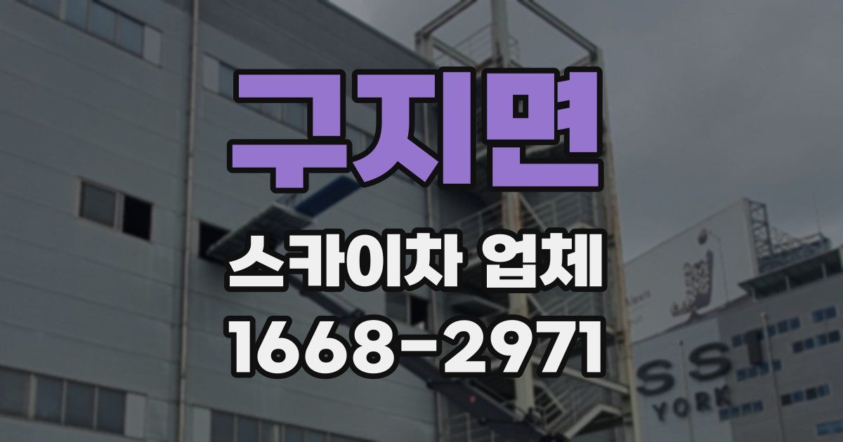 구지면 스카이차 업체