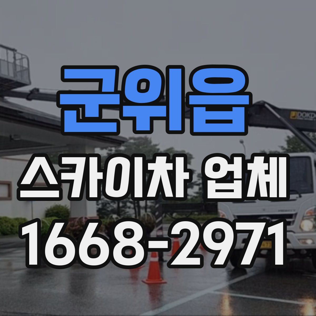 군위읍 스카이차 업체