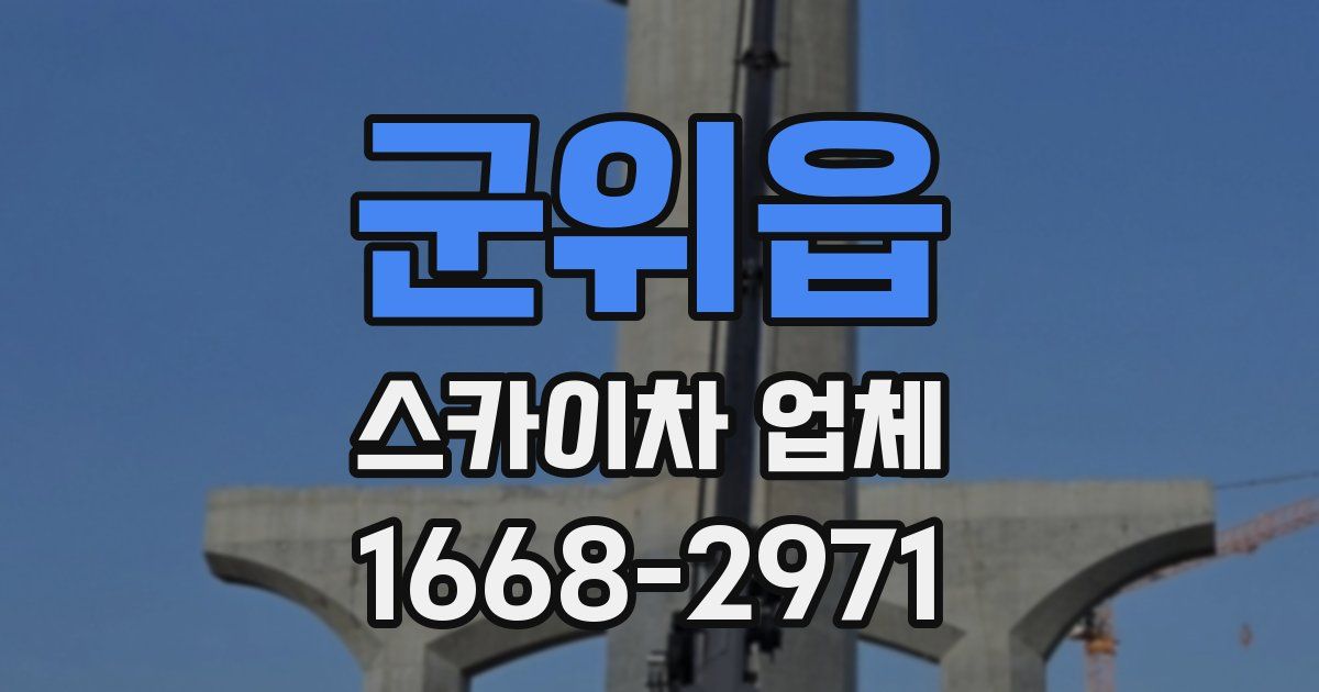 군위읍 스카이차 업체