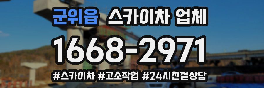 군위읍 스카이차 업체