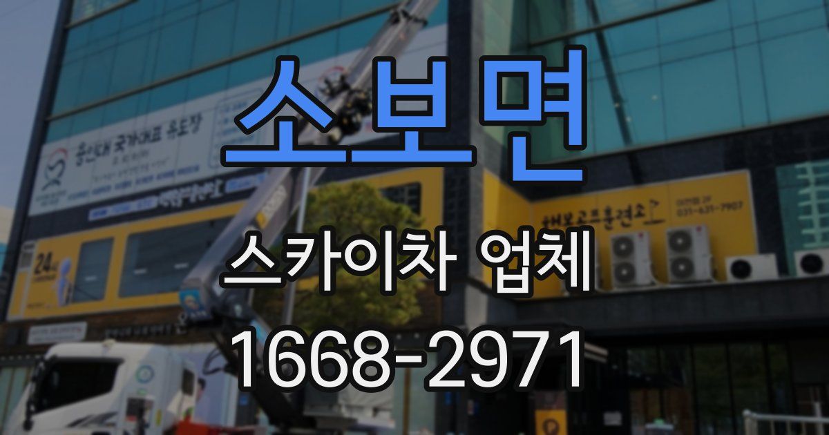 소보면 스카이차 업체