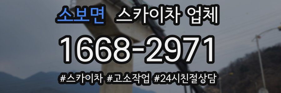 소보면 스카이차 업체